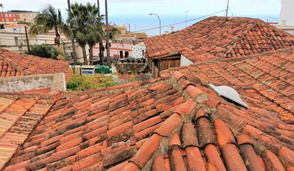 IMG_20211022_16135700